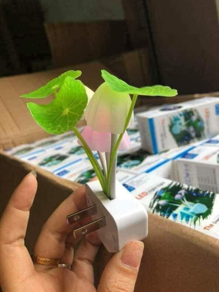 ĐÈN NGỦ CẢM BIẾN HÌNH CÂY NẤM
