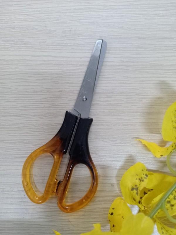 Kéo xà cừ nhỏ - 5 cây