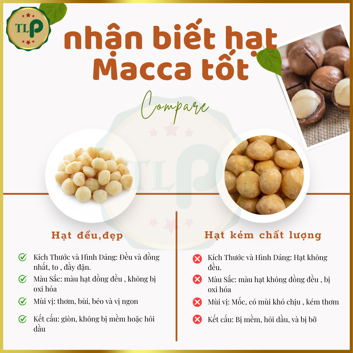 Tan Loc Phat Cracked Macadamia Nuts, 500g Bag