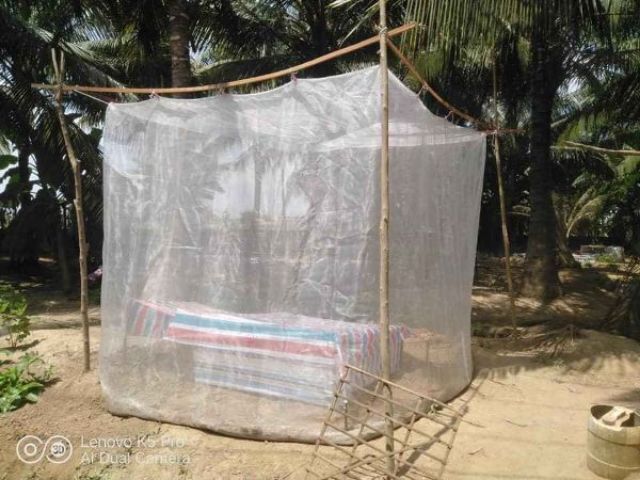 Lồng nuôi cào cào 3x2x2