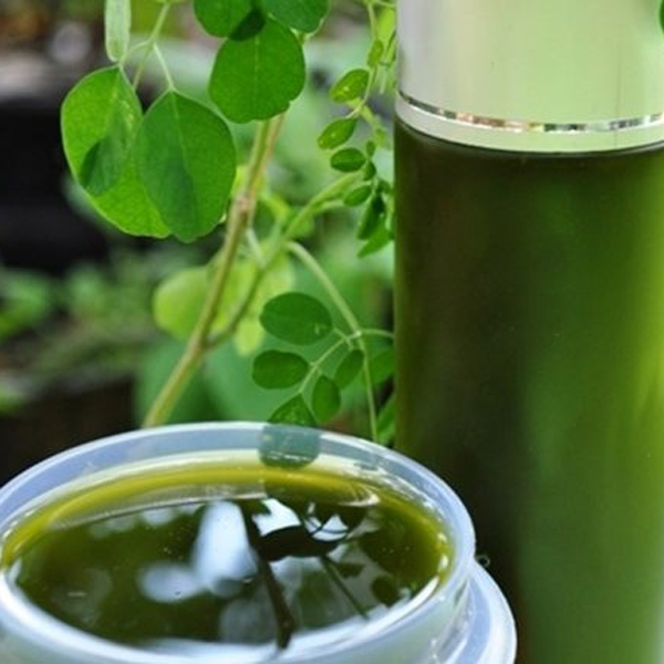 [HCM]Bột Rau Ngót 100g