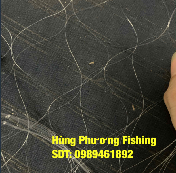 Ruột lưới đánh cá cước 20 cao 60 mắt mác rùa vàng