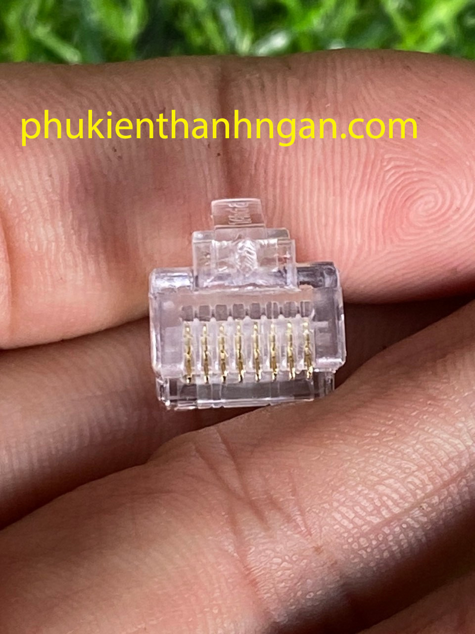 Hạt Mạng RJ45 TENDA CAT5 (Hộp 100 cái)