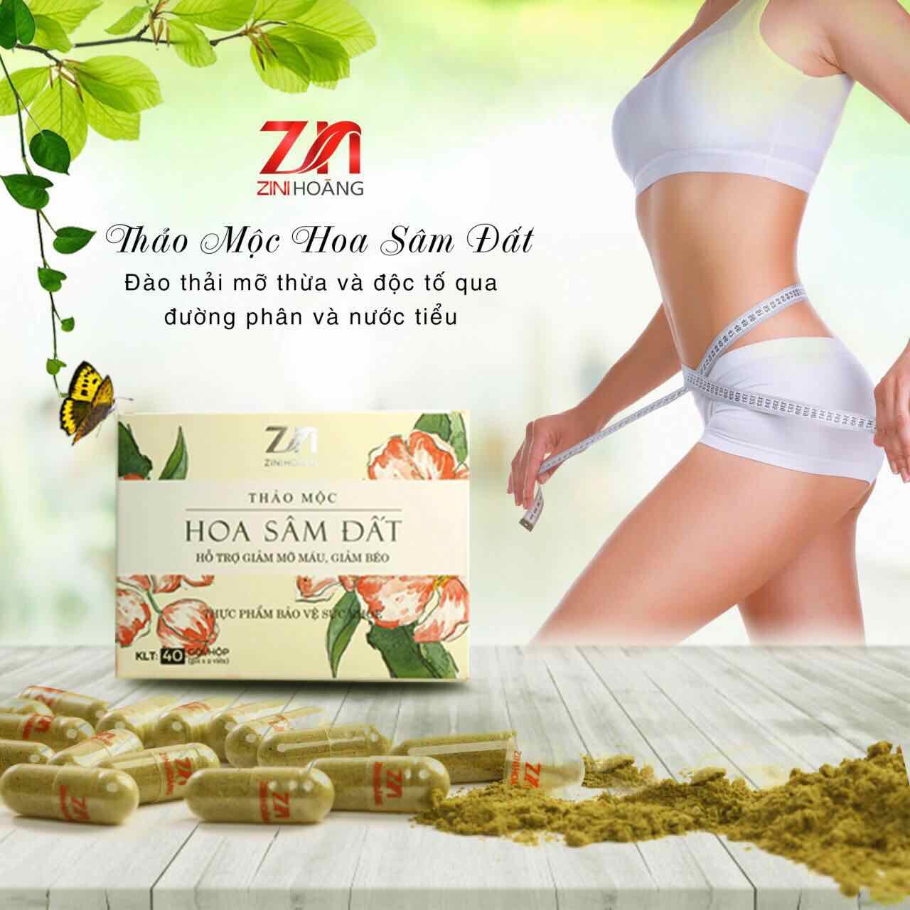 [HCM]Trà Hoa Sâm Đất (Giảm Cân Loại Bỏ Mỡ Máu)- liệu trình 1 hộp 20 ngày