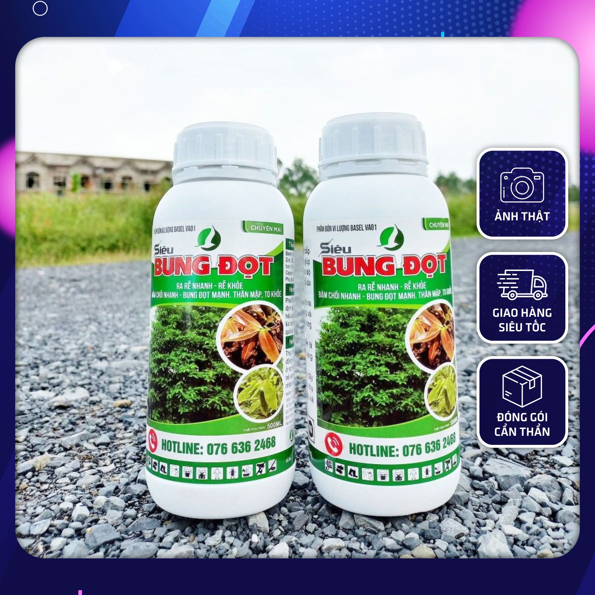 Siêu bung đọt ra rễ - phân bón chuyên mai vàng - 500ml