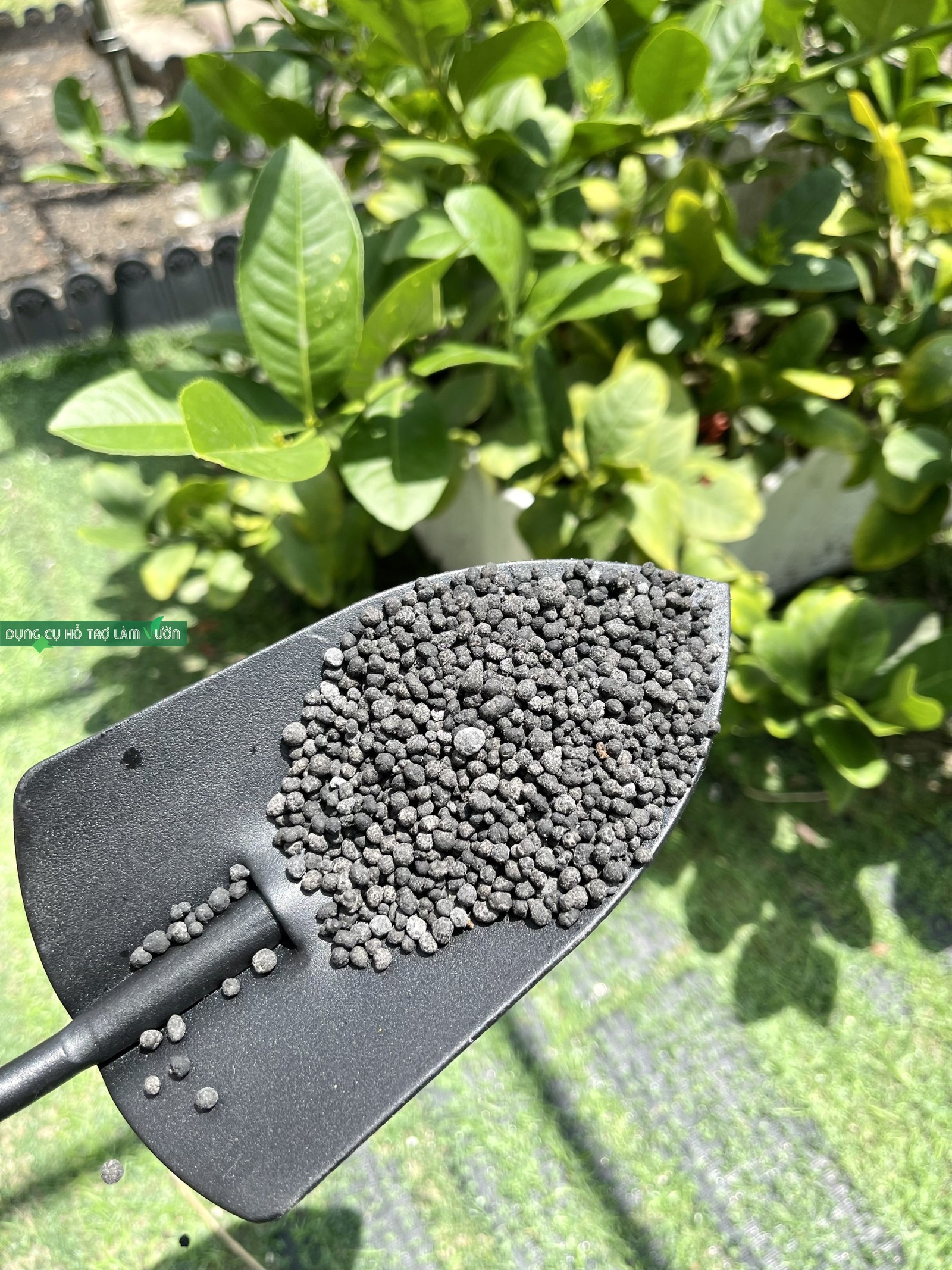 Phân lân DAP 19-46 gói 1kg, phân bón hạt đen