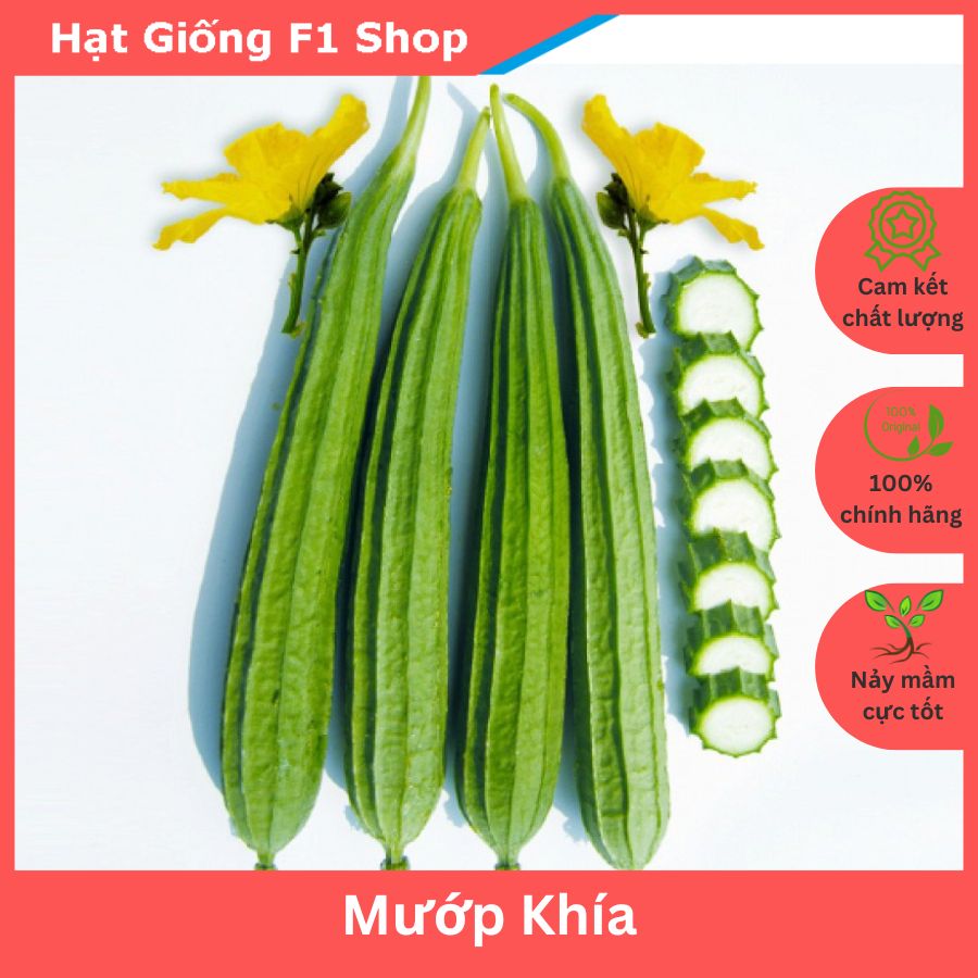 Hạt Giống Mướp Khía Ngon Ngọt