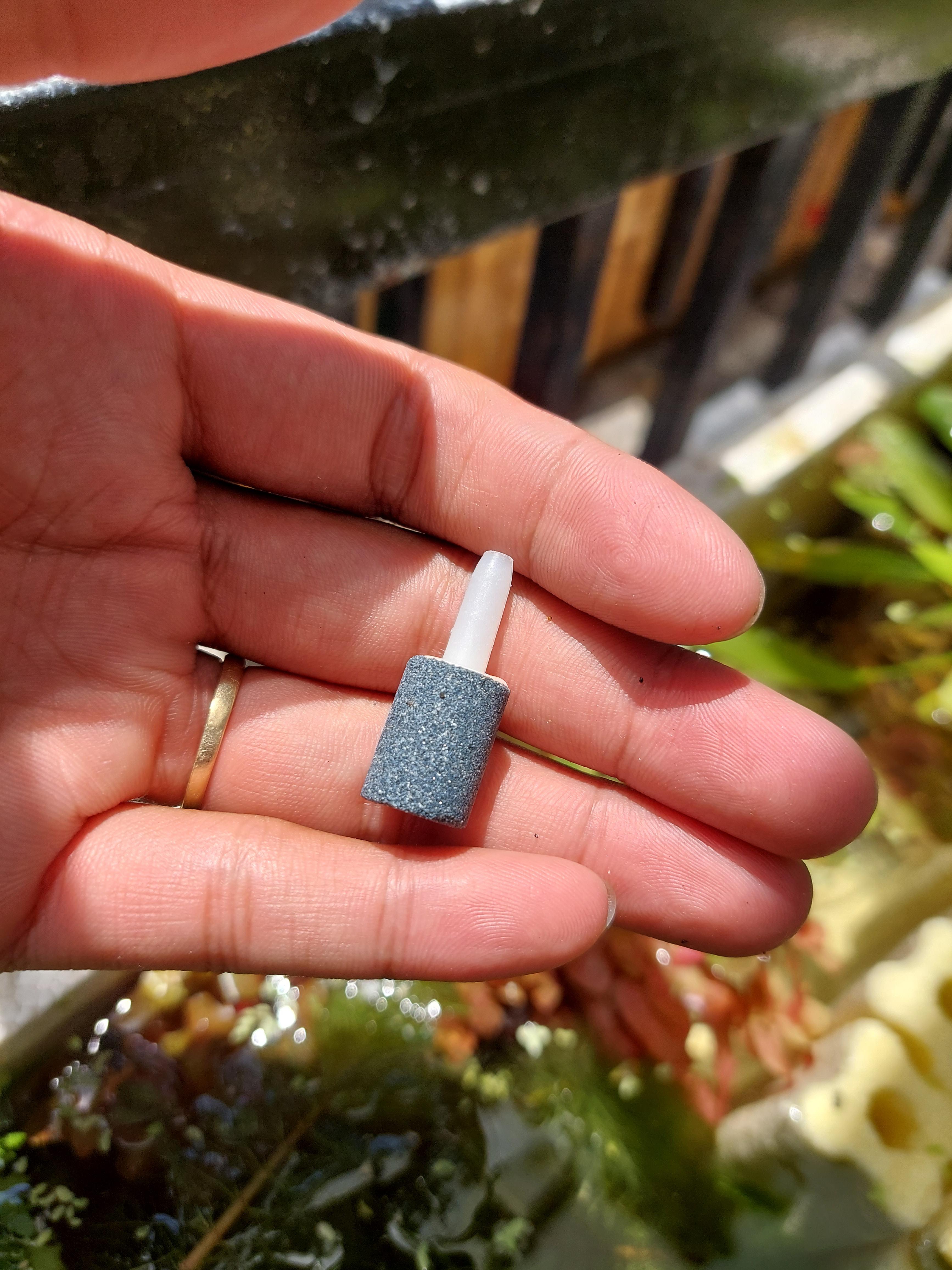 Cục sủi oxi cho hồ cá, cục sủi taiwan