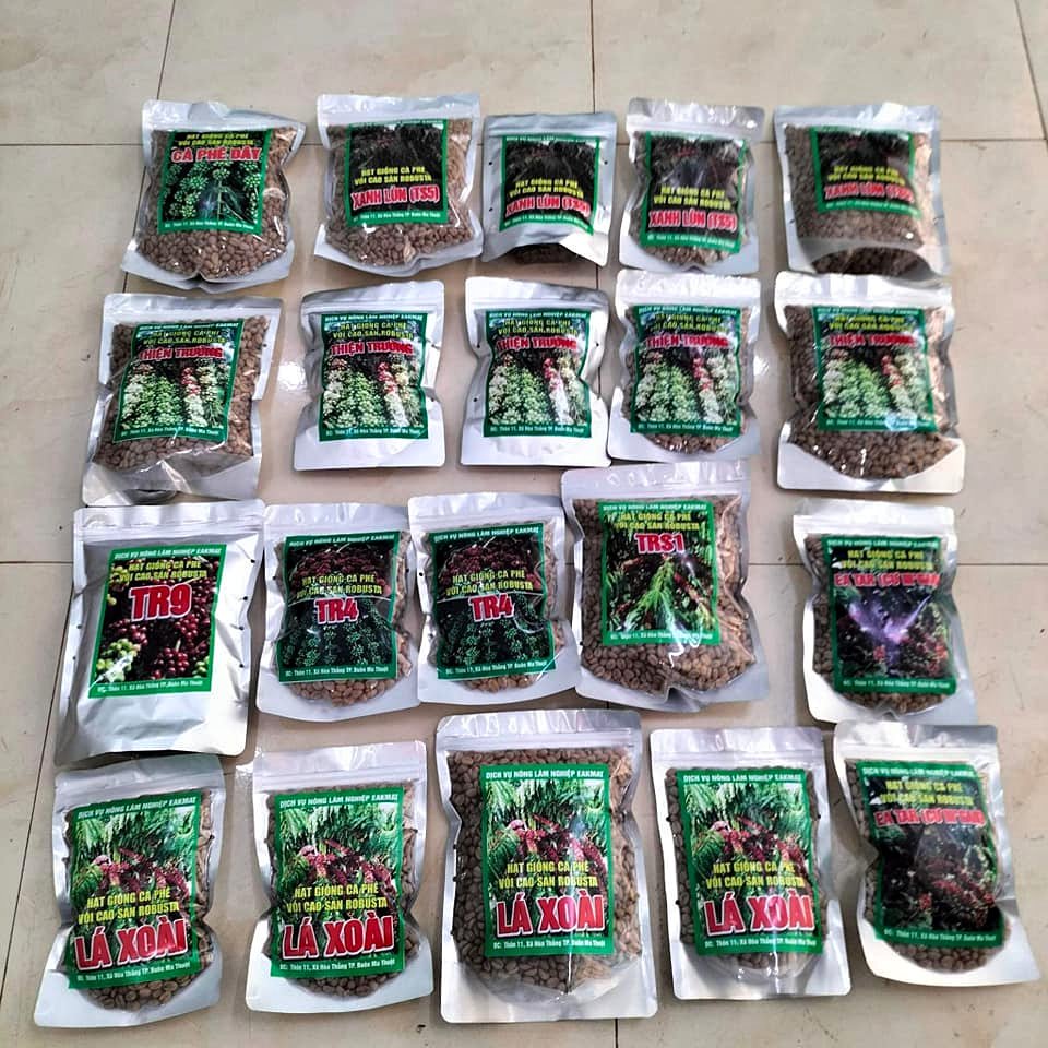 1kg HẠT CÀ PHÊ GIỐNG LÁ XOÀI