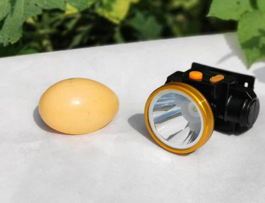 Đèn pin đội đầu A2 soi ếch, leo núi 30/60W chiếu SIÊU SÁNG