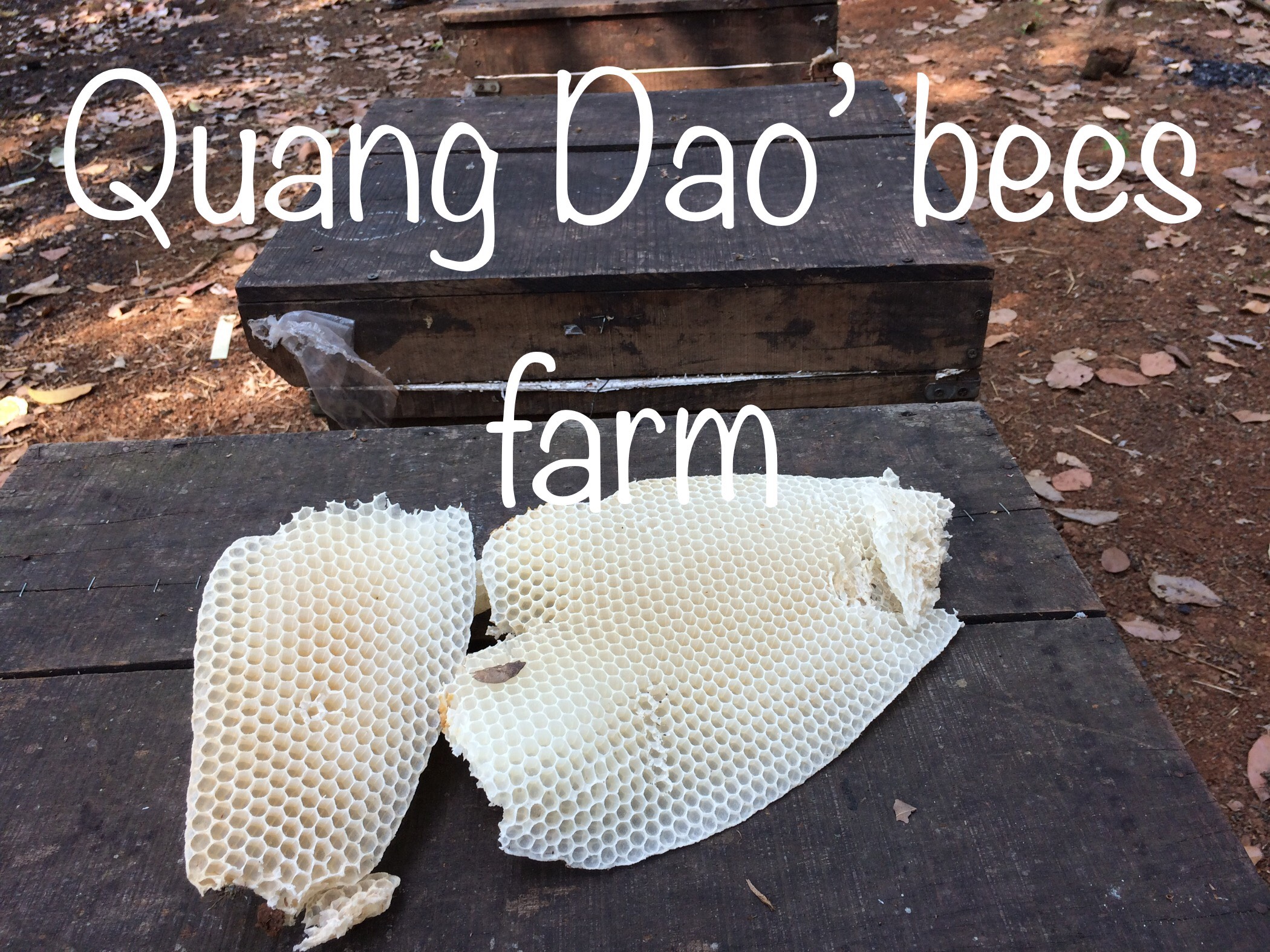 Sáp ong 1kg