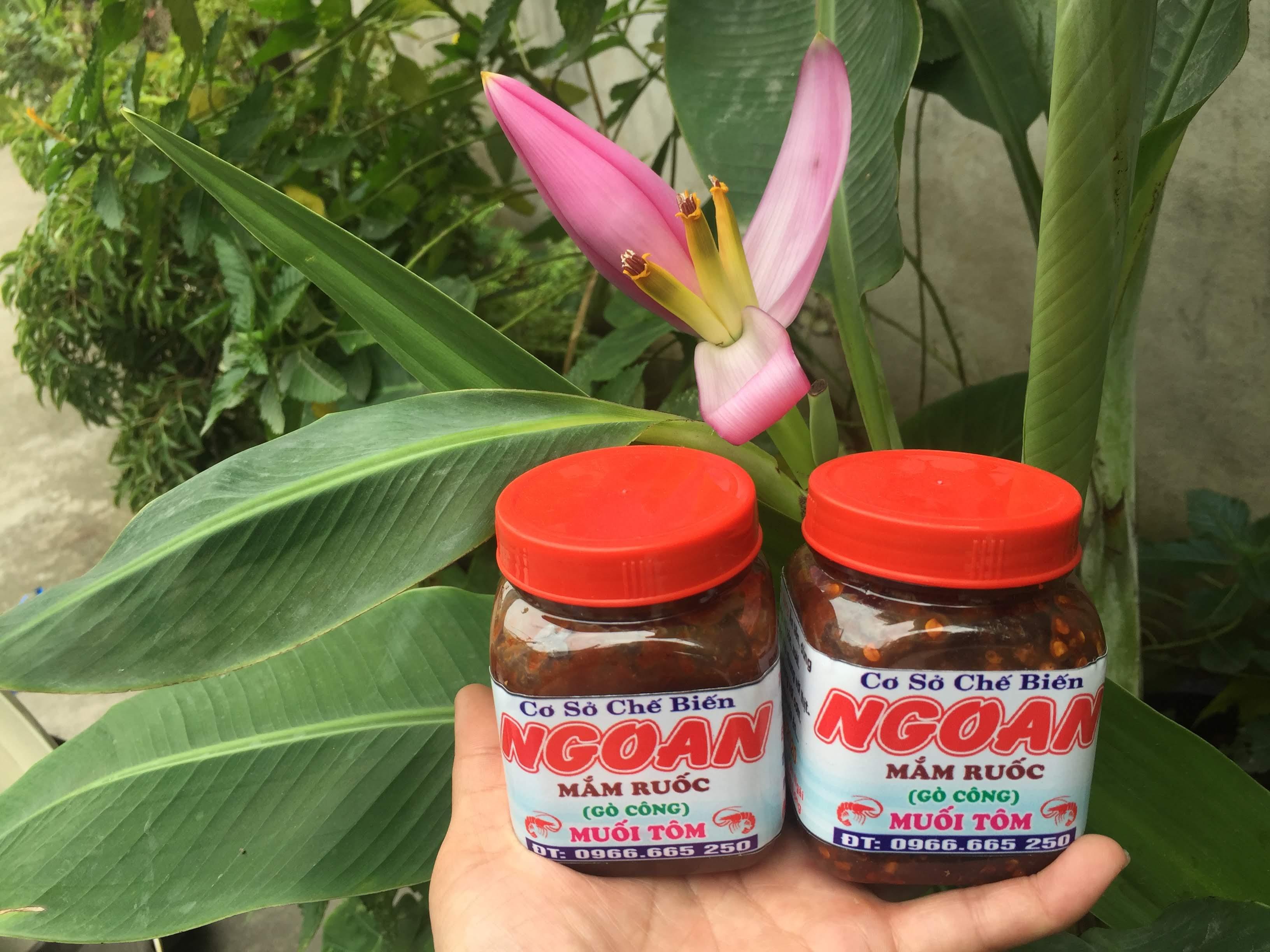 Ngoan