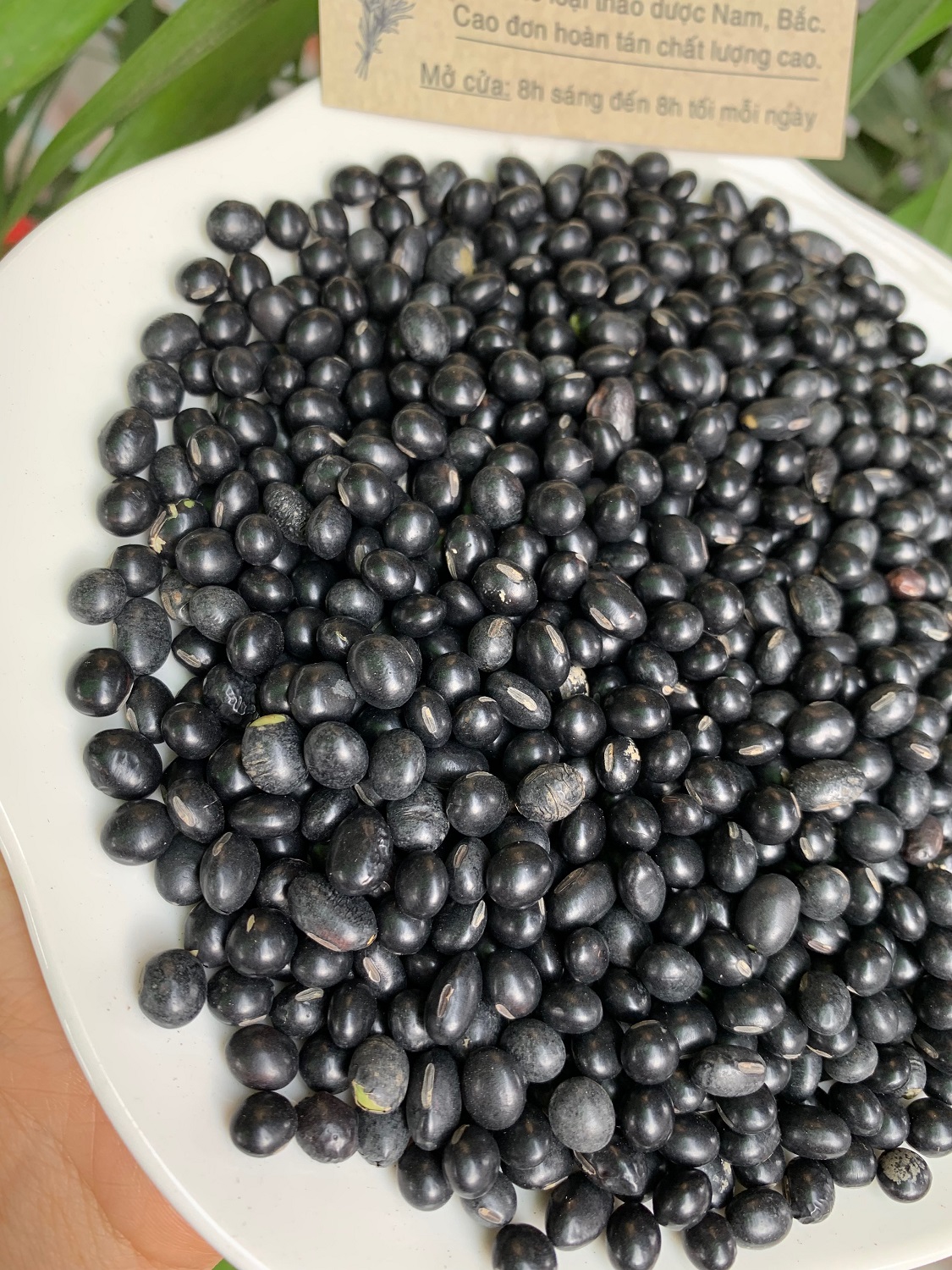 [HCM]Đậu Đen Xanh Lòng Đã Rang Thơm Hạt To Tròn 500g