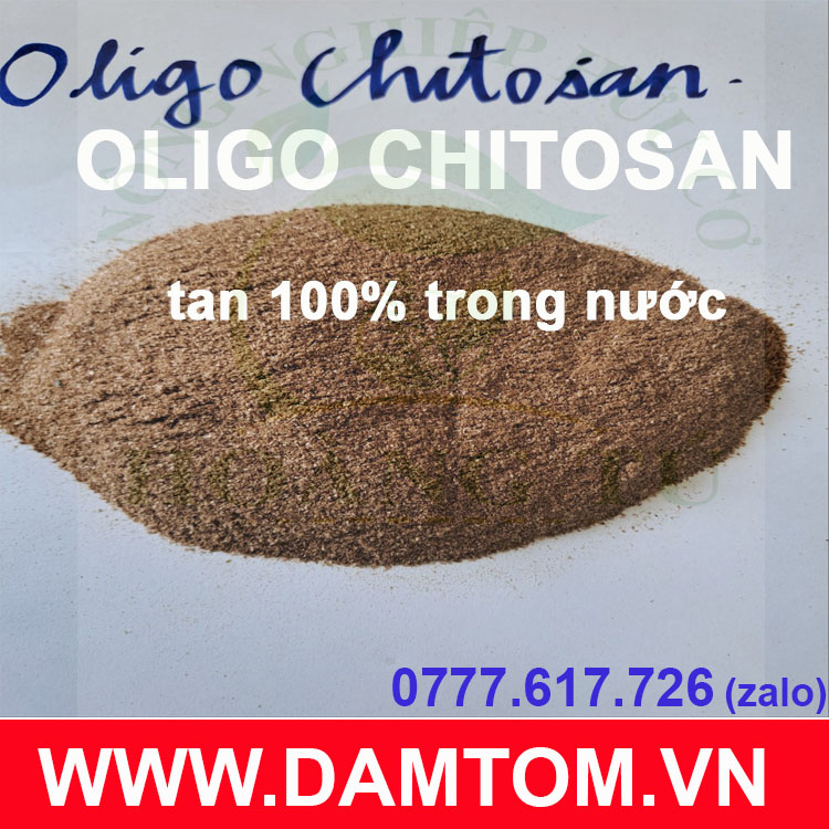 PHÂN OLIGO Chitosan- Dạng Bột (Gói 500gram)