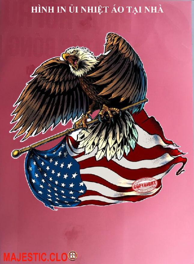 Hình ủi ép nhiệt-hình in áo- Logo American Eagle-Hình IN ÁO TẠI NHÀ RẤT ĐẸP-khuyến mãi -in pet chuyển nhiệt- ủi trực tiếp lên vải-MAJESTIC.CLO