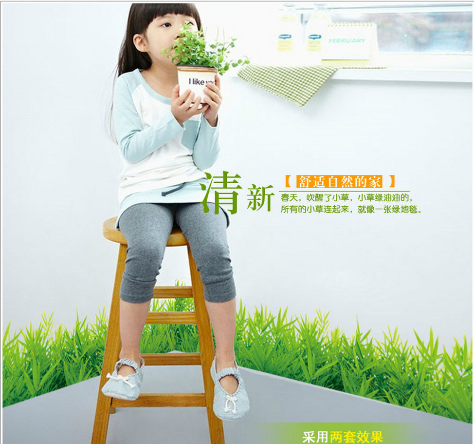 Decal dán chân tường cỏ xanh 5