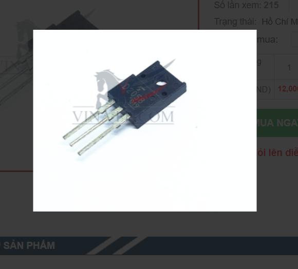 [HCM]IC D2058Y