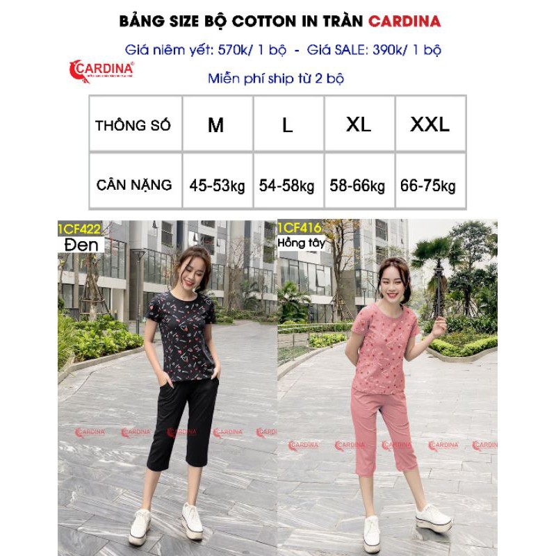 Bộ Cotton cao cấp Cardina - BST 2021