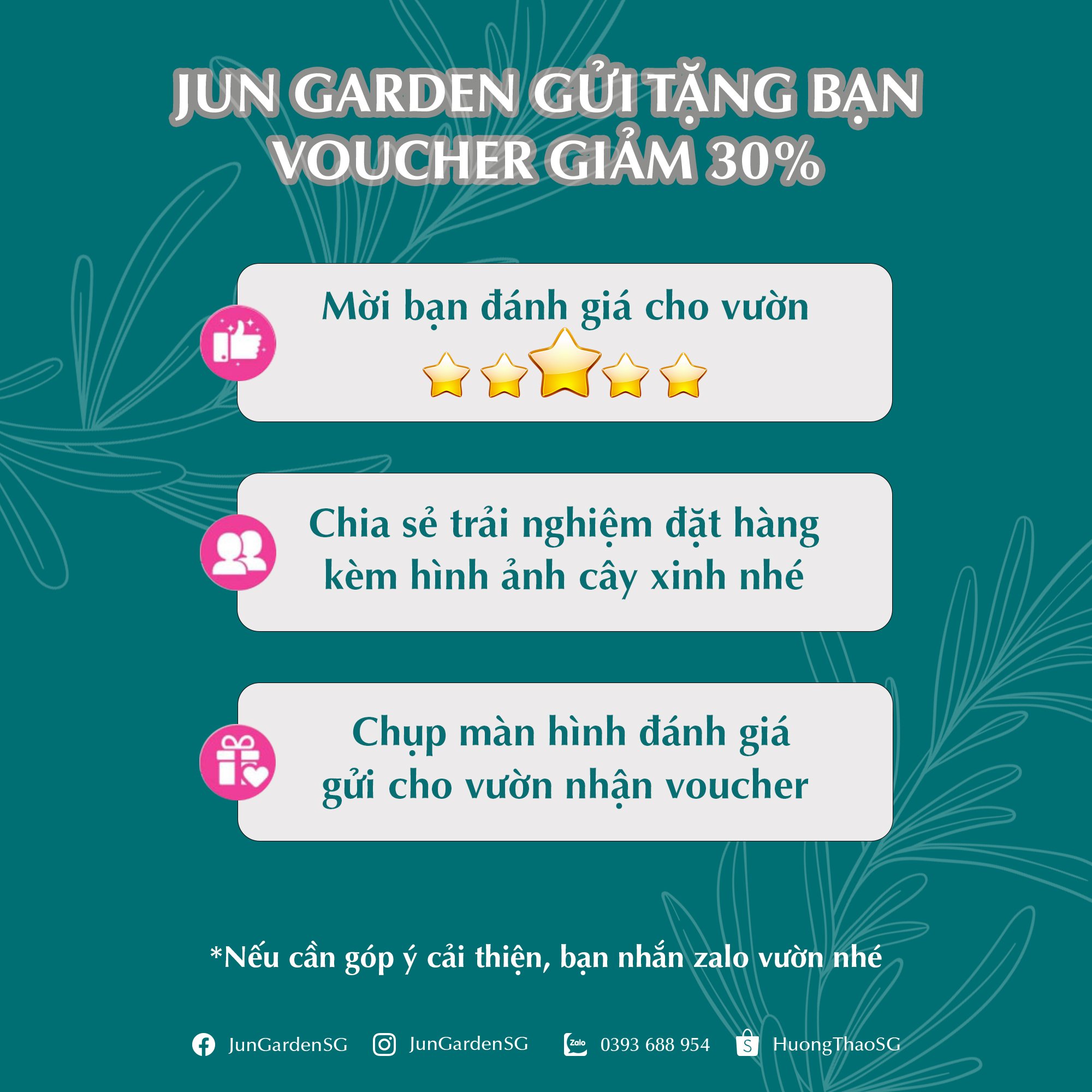 Cây Tràm Trà JUN GARDEN Cây Giống