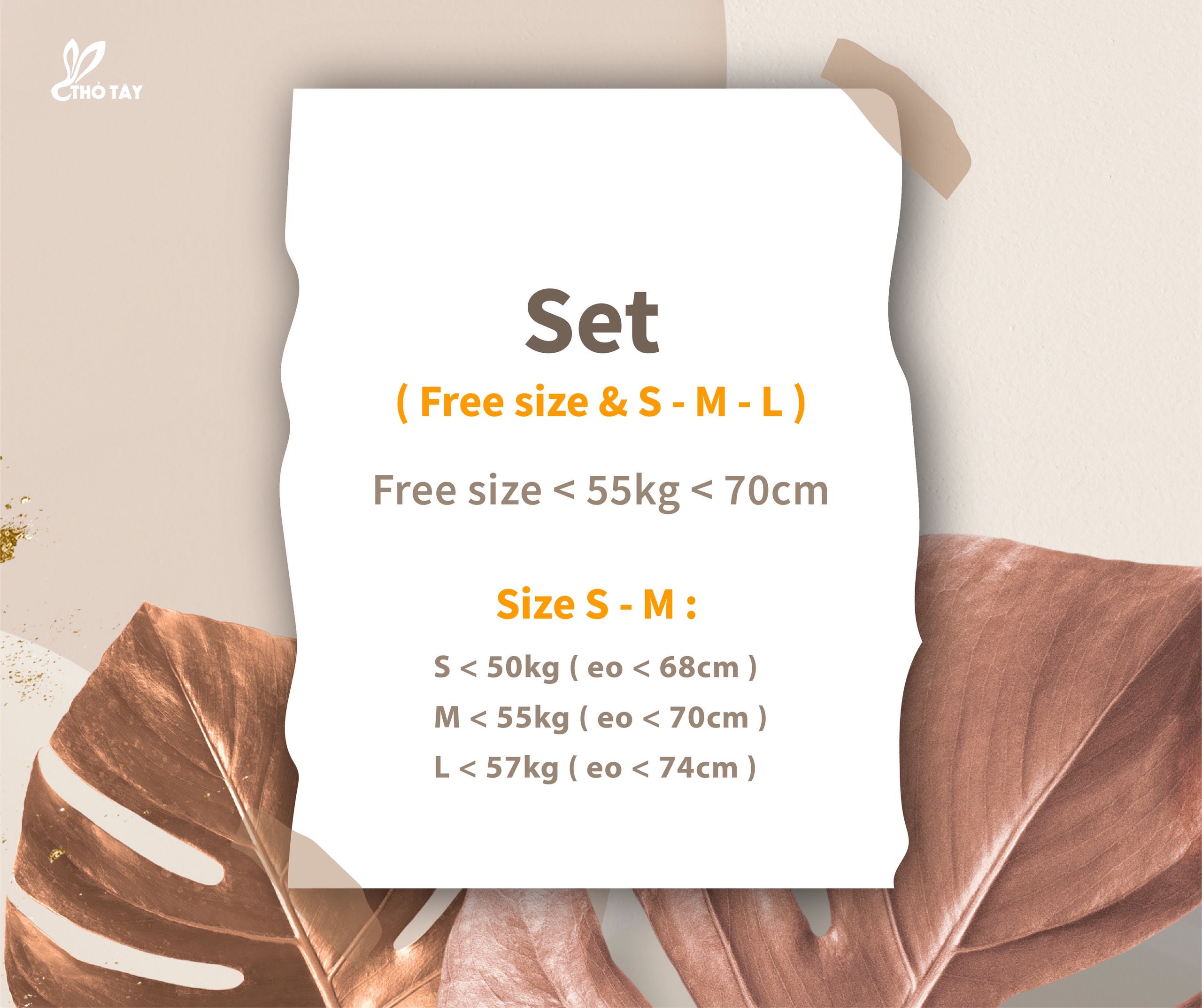 Set Bộ Nữ Tiểu Thư Tay Phồng - THỎ TÂY S309Cx357
