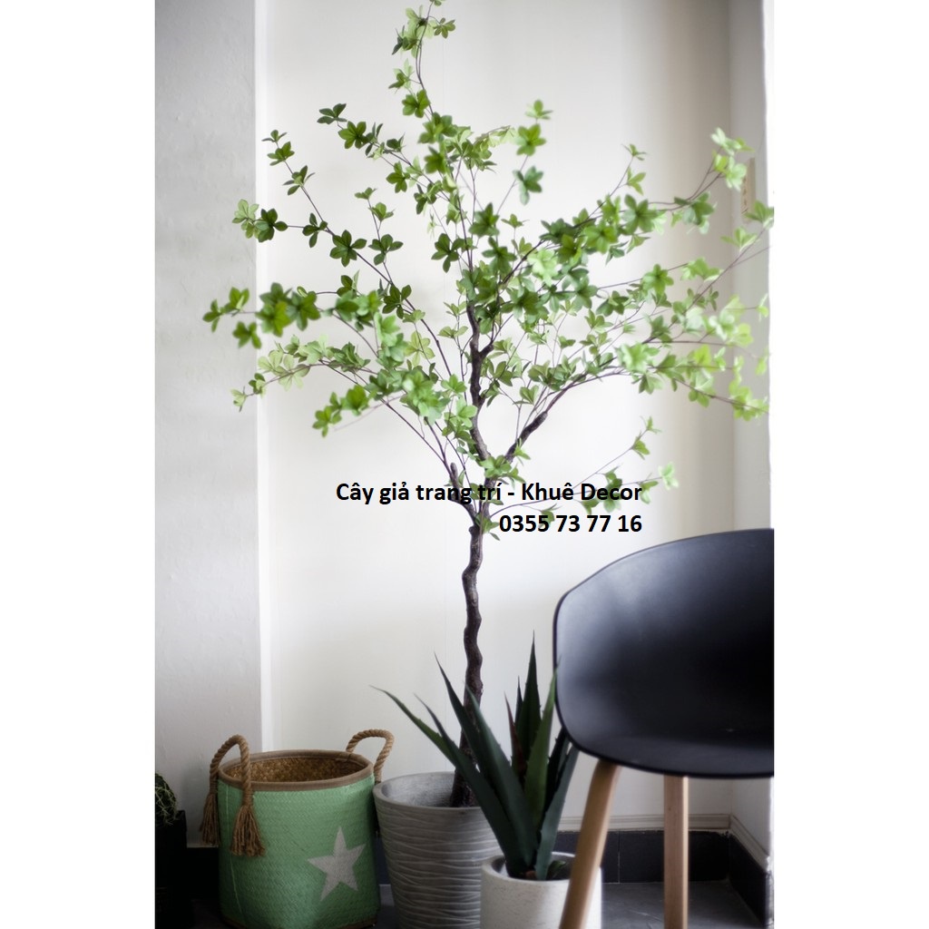 Cây Thạch Nam 1m8 giả