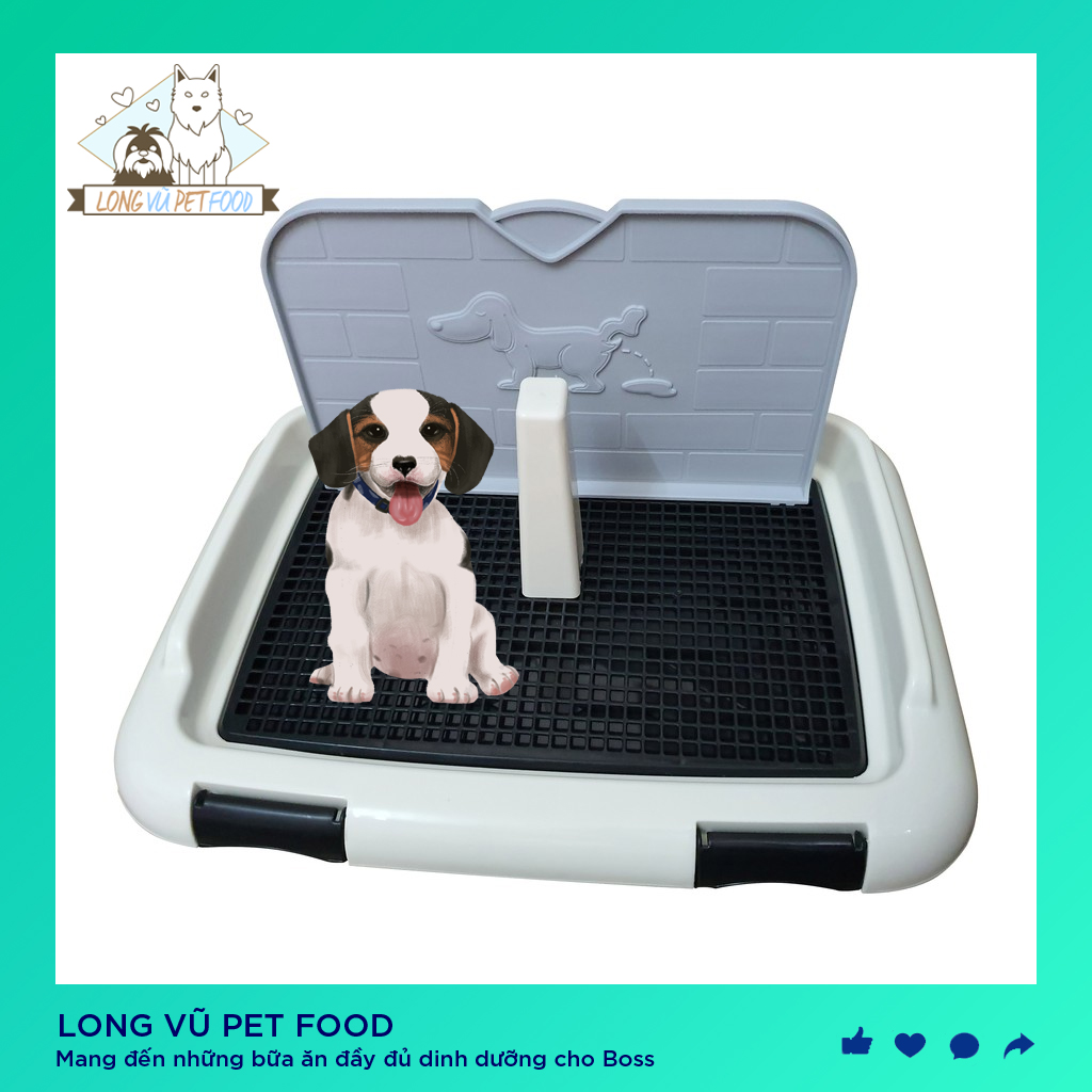 Khay vệ sinh cho chó chất lượng cao - Long Vũ