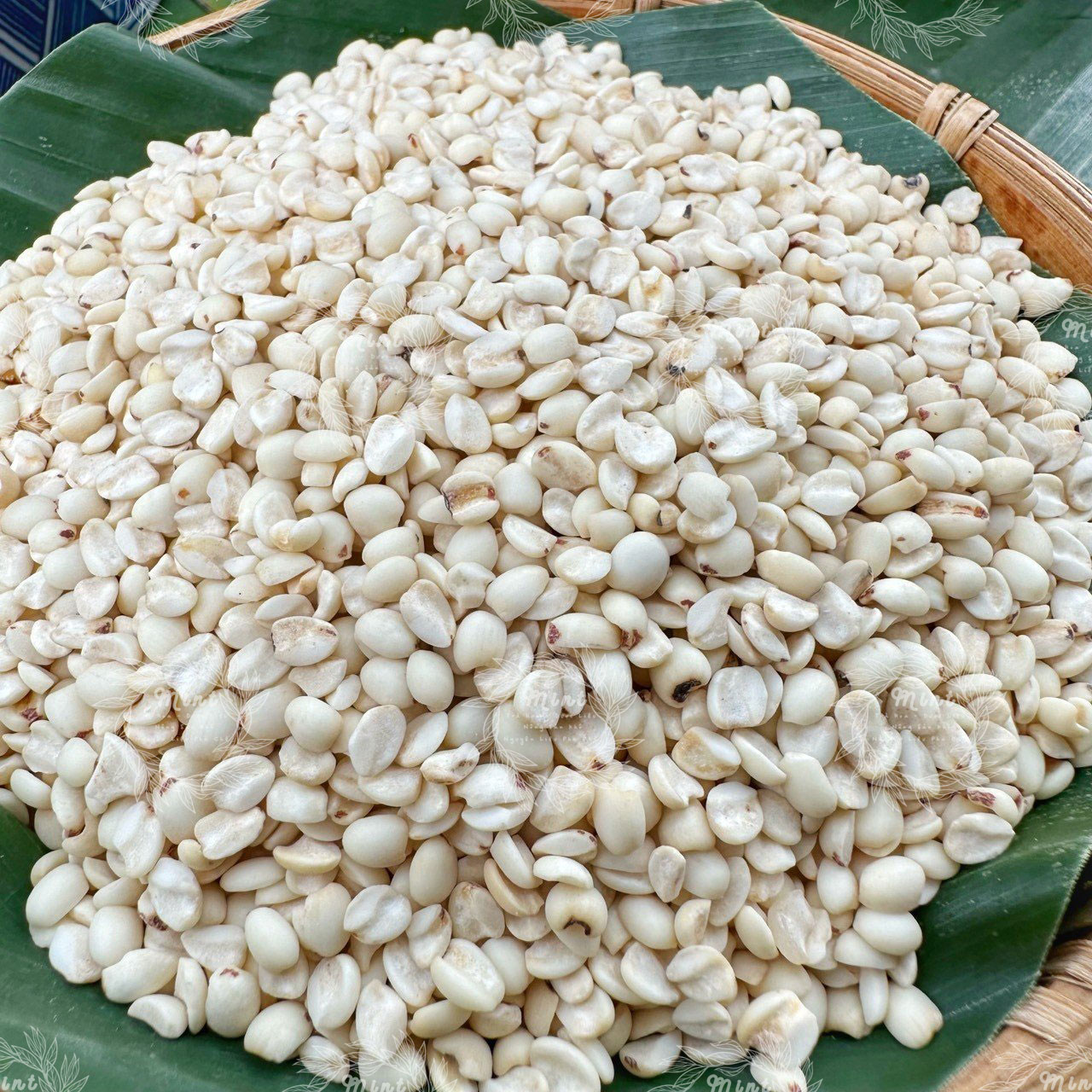 Hạt Ý Dĩ (Hạt Bo Bo/ Hạt Cườm) - Túi 1kg