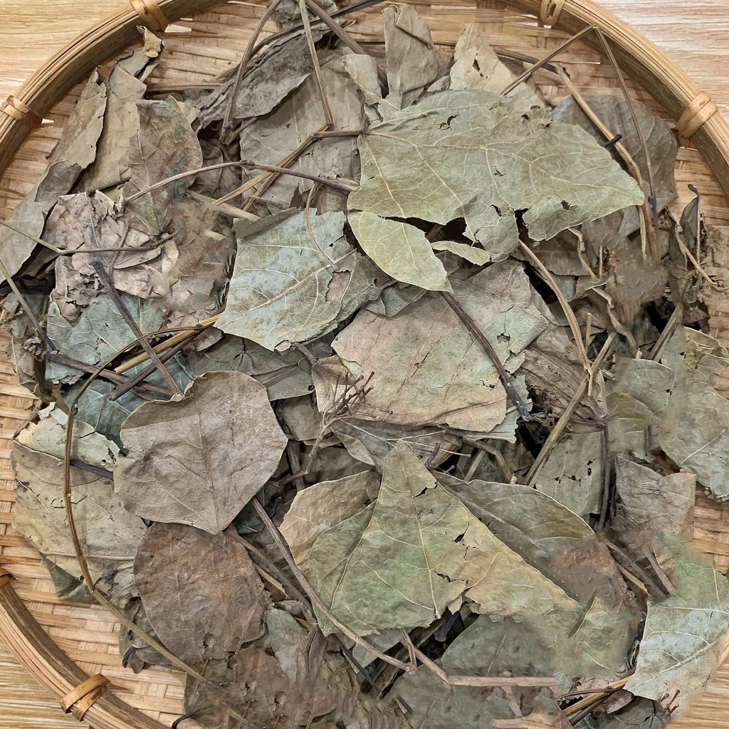 Lá vông nem sấy khô 500g - Thảo Dược Tấn Phát