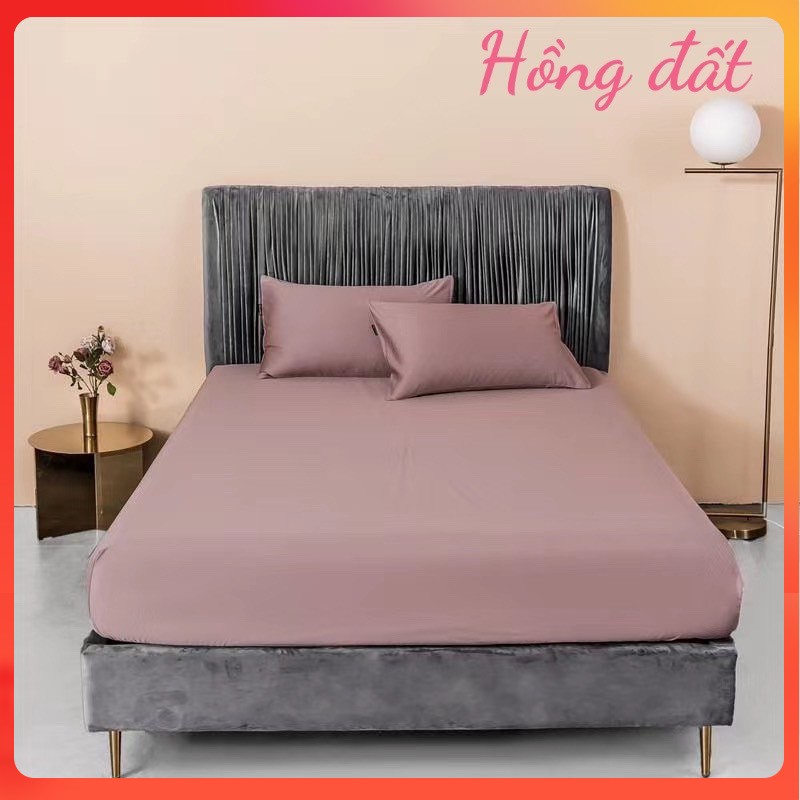 (❣️GIÁ BAY NÓC) Bộ ga gối lụa tencel trơn 60s cao cấp ga giường lụa mát lạnh - nhiều mẫu lựa chọn