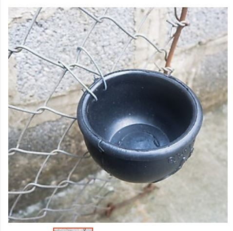 MÁNG CAO SU CHO BỒ CÂU , GÀ