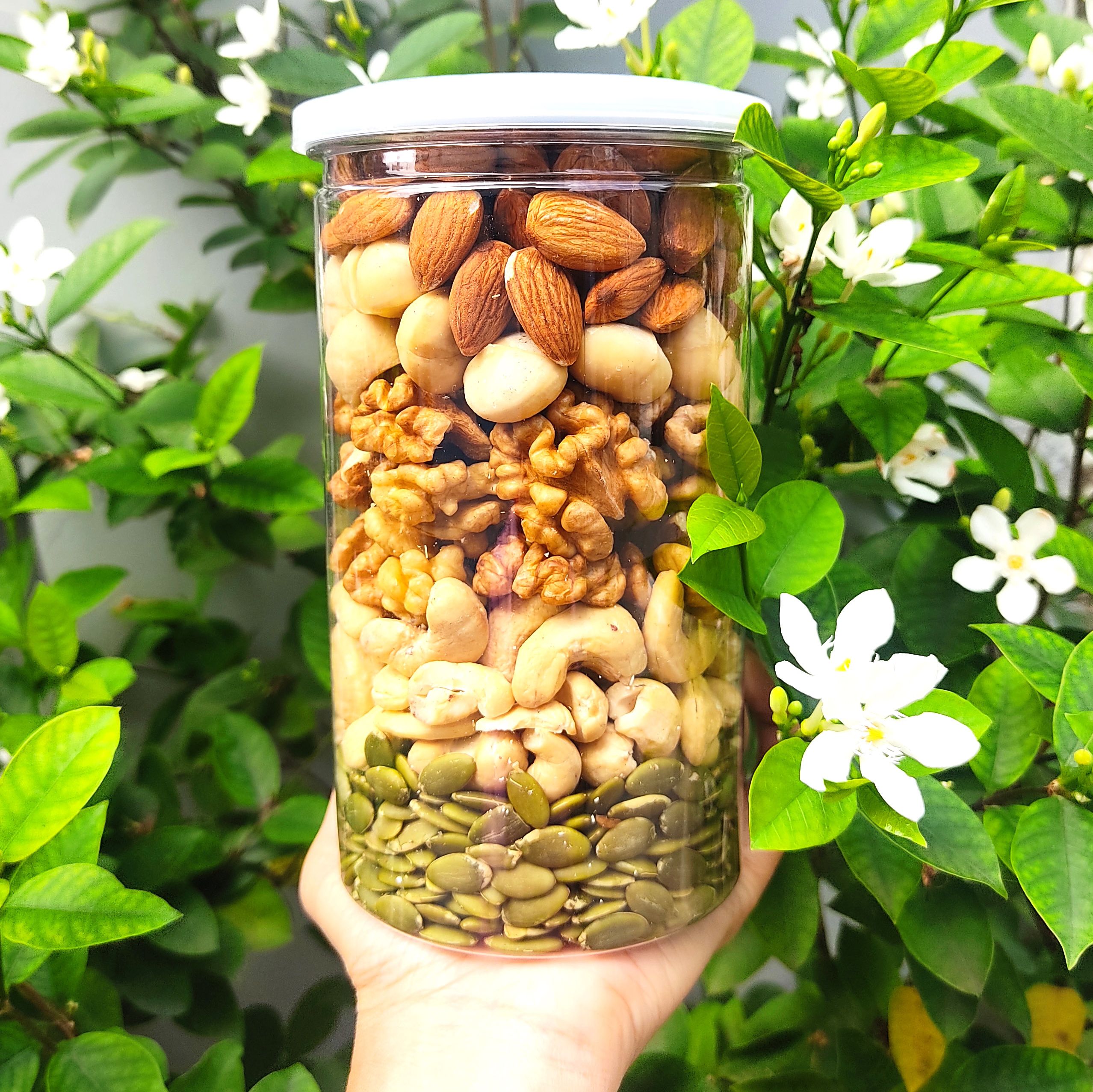 Dietary Nutritious Nuts - Mix of 5 Types of Nuts (Macadamia, Red Walnuts, Cashews, Pumpkin Seeds, Almonds)