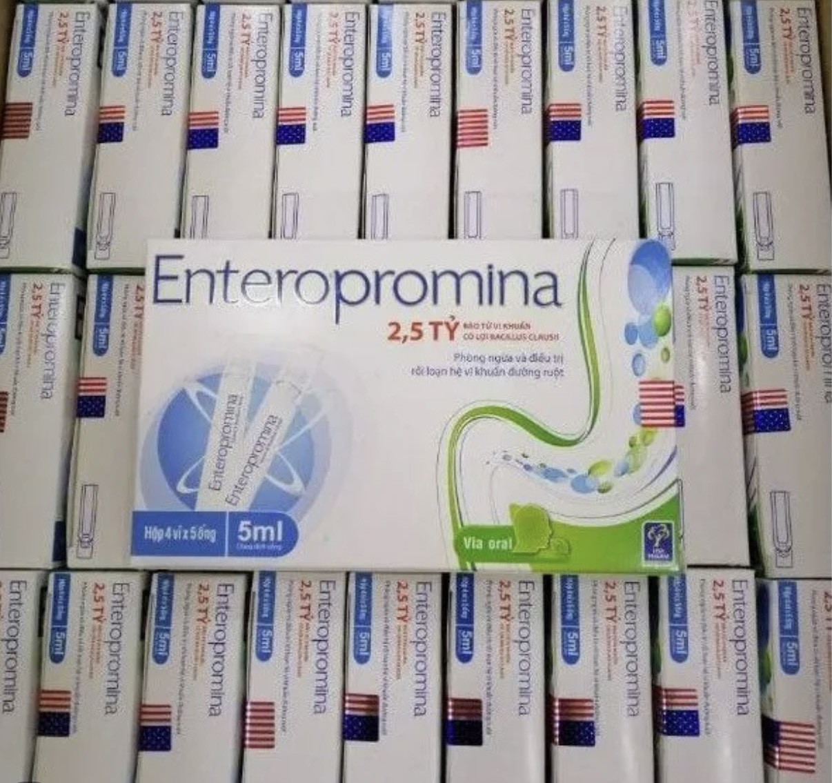 Men tiêu hóa ENTEROMENA