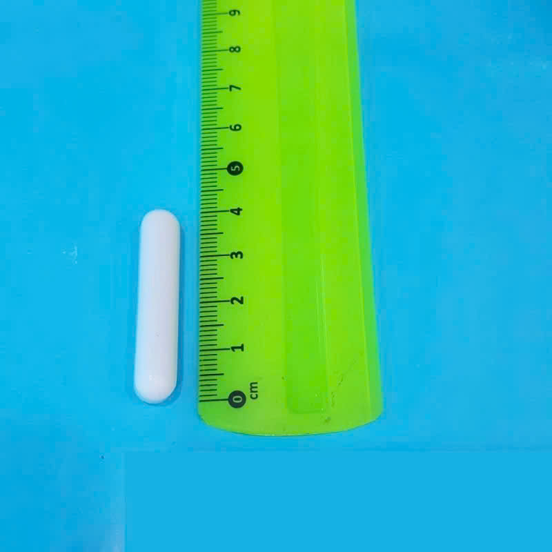 [HCM]Cá từ nam châm con nhộng con khuấy từ 4cm