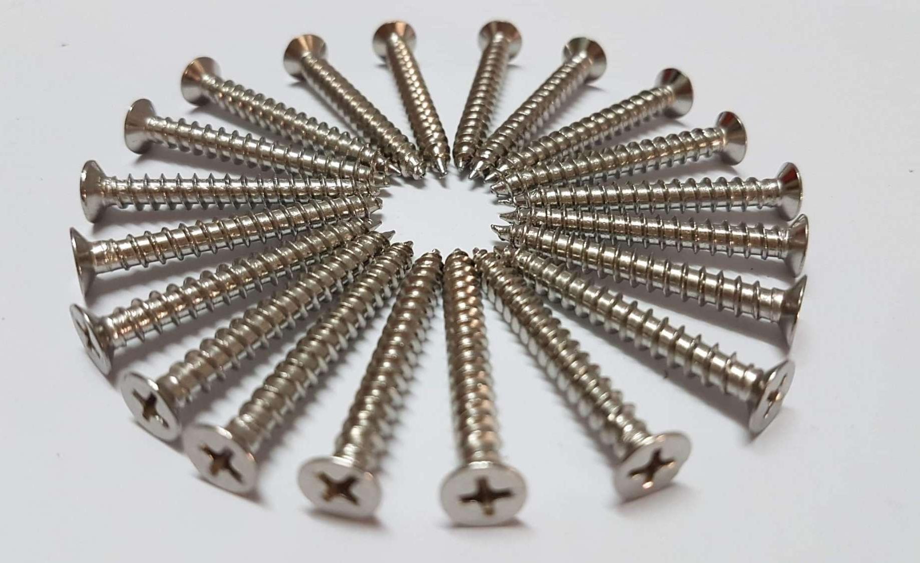 [HCM]Bộ 100 ốc vít inox 201 bắt tường kích thước (4x30mm )