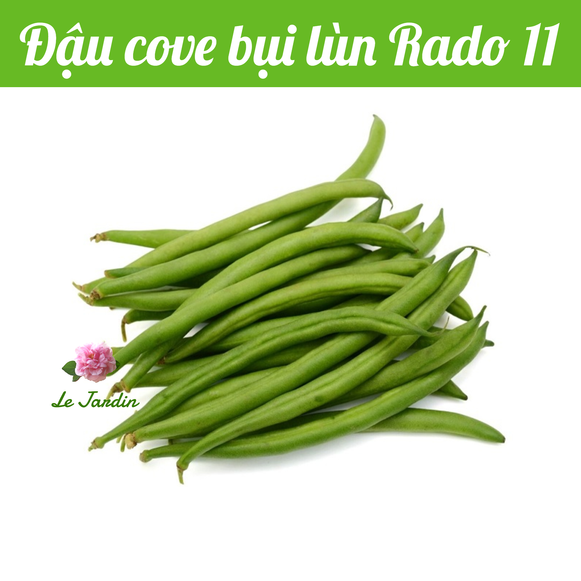 Bush Bean Seeds 20gr package