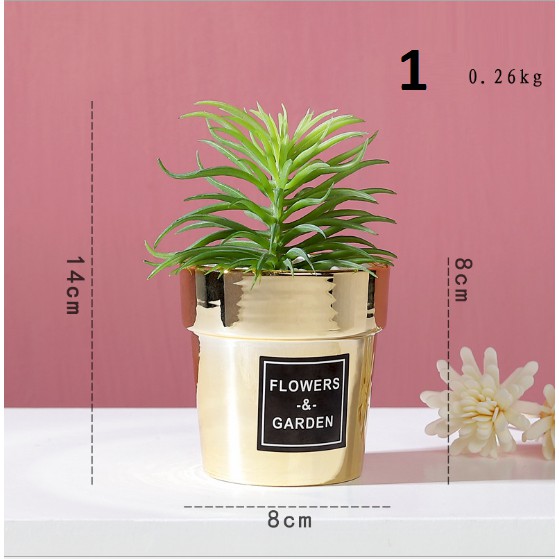Cây trang trí để bàn phong cách Bắc Âu