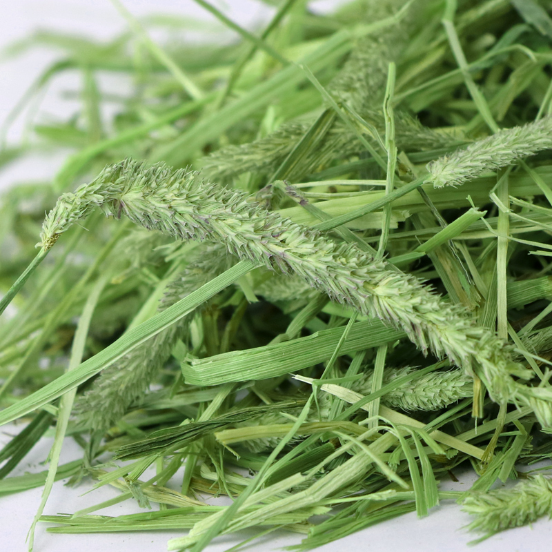 Cỏ Timothy Cho Thỏ 500g