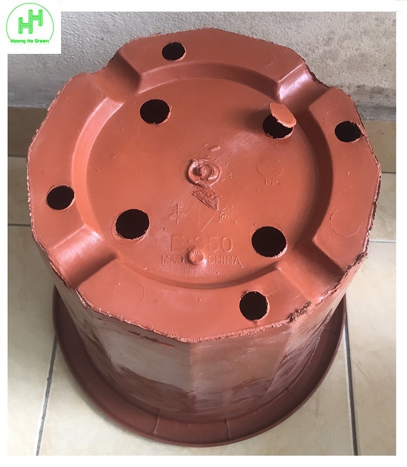 Chậu Nhựa Trồng Hoa, Cây Cảnh E350 CN
