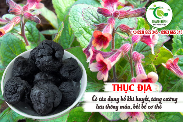 Thục Địa Đã Sơ Chế 1KG - Đông Y Thanh Bình