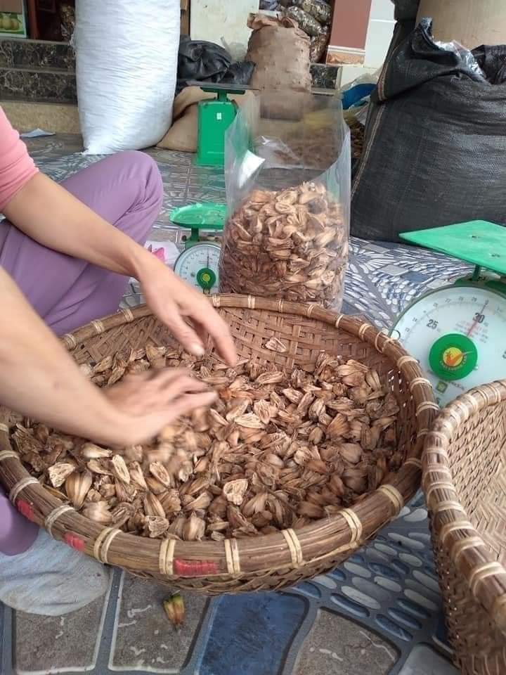 1kg Dứa dại rừng ( Quả dứa dại khô )