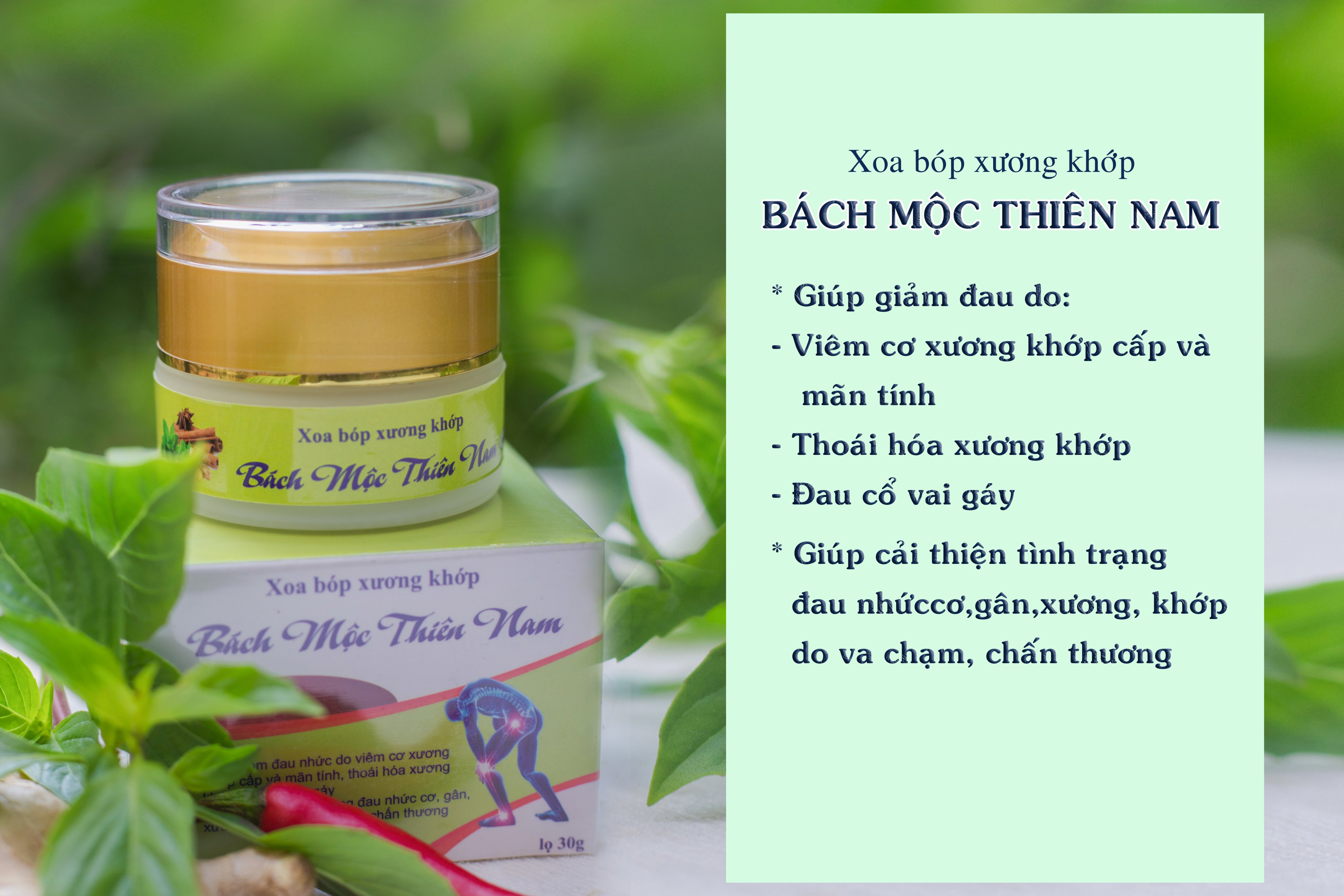 Xoa bóp Bách Mộc Thiên Nam