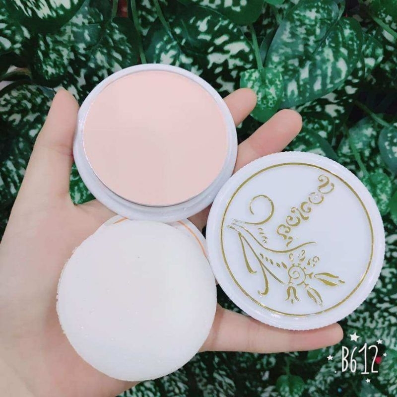 Combo 12 Hộp Phấn Bông Lúa Thái Lan 10g