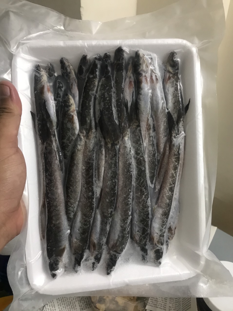 [HCM]KHÔ CÁ KÈO 1 NẮNG