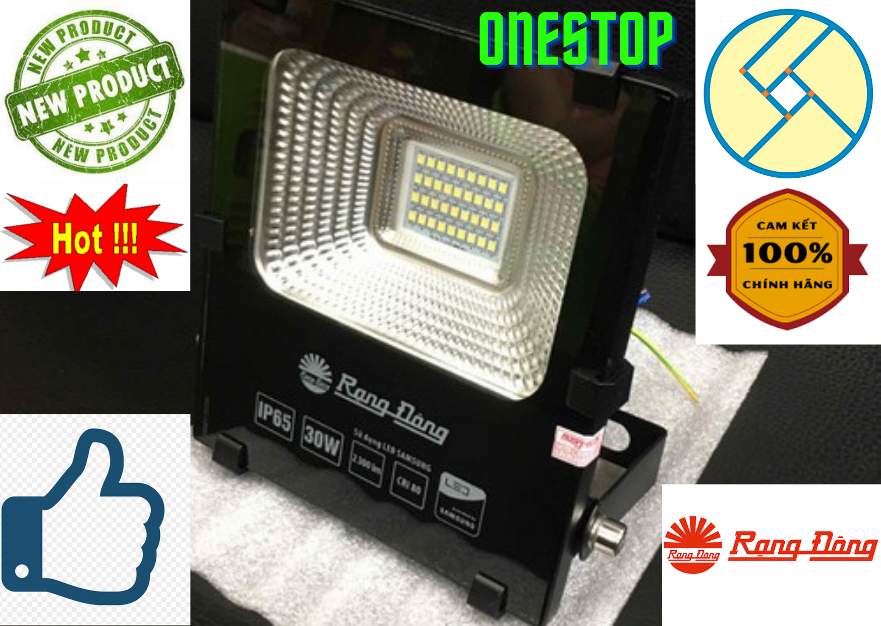 Đèn led chiếu pha Rạng Đông 30W - Model CP06 30W-6500K,3000K