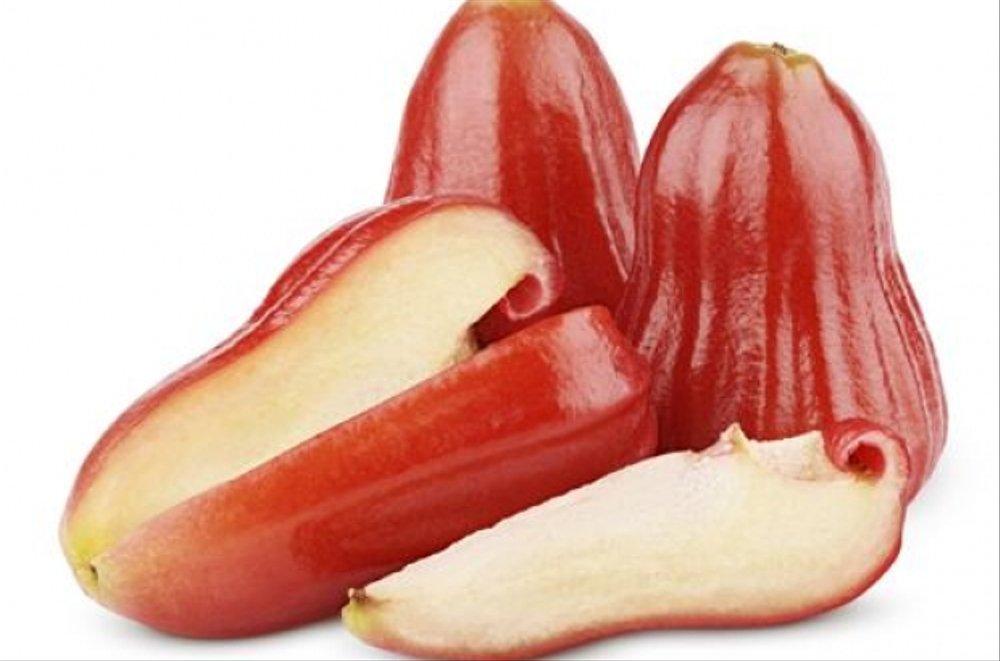 4 HỘP - MUỐI Ô MAI BÀ THU - HÀ NỘI