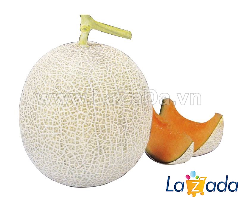 25 HẠT Hạt Giống Dưa Lưới Nhật Ruột ĐỎ F1 TG51 (B3.403| A2*X56*M223)