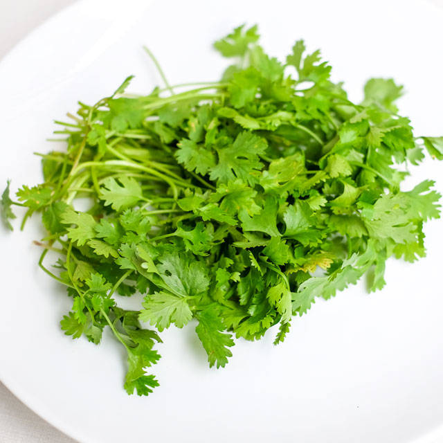 Hạt giống rau Mùi ta (Ngò) - 20 gram.