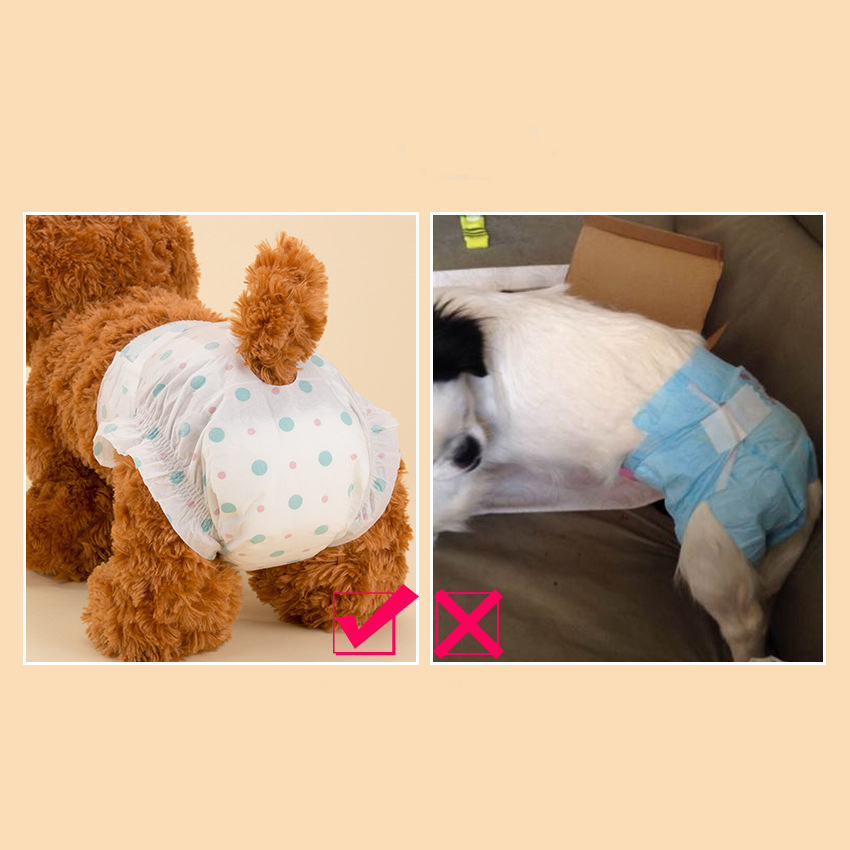 [HOÀN TIỀN 10%][Bịch] Bỉm nhật bản HiPiDog dành cho chó mèo - Cutepets