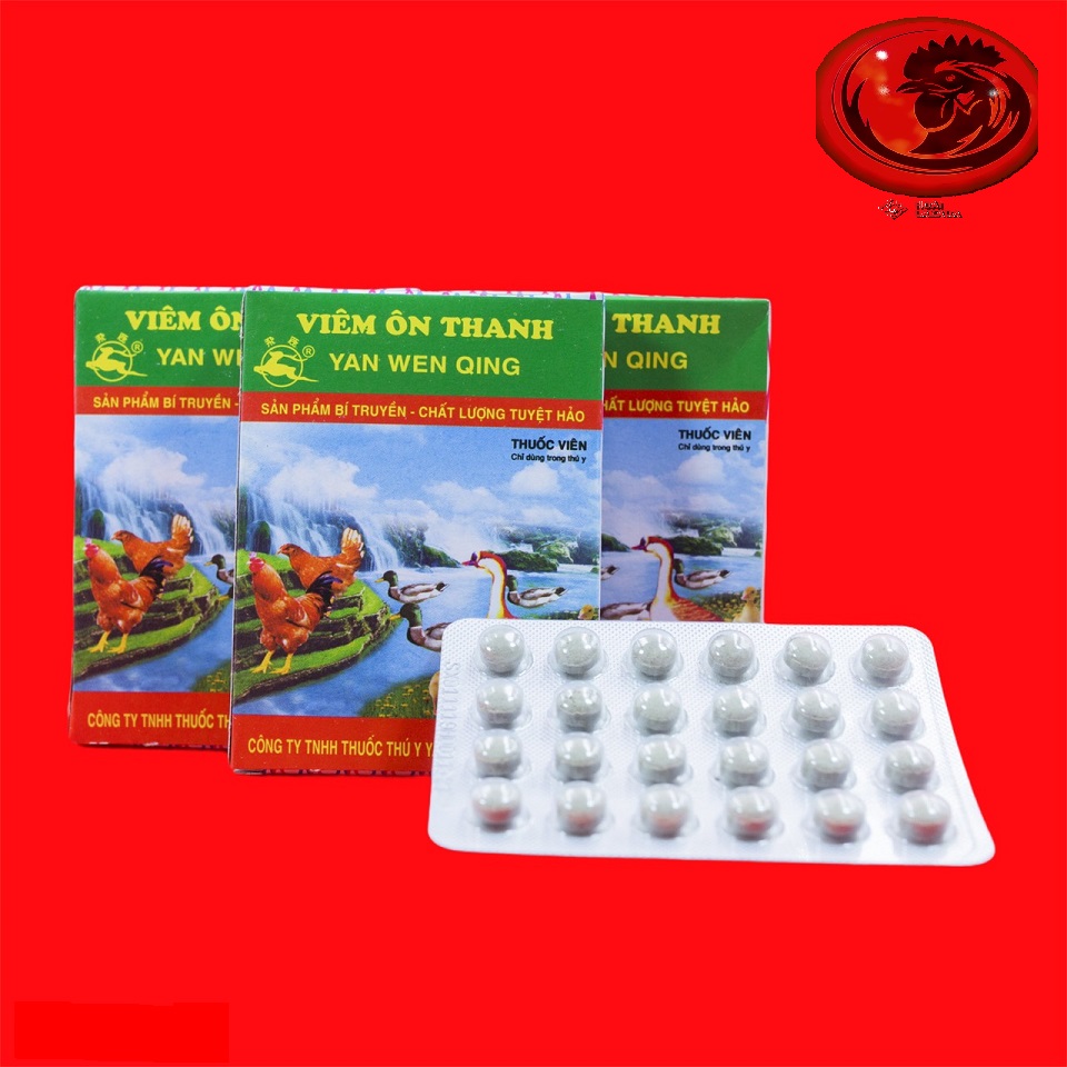 Viêm Ôn Thanh 25 hộp cho gà đá, chim cảnh