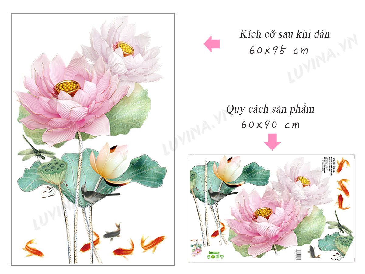 [HCM]DECAL DÁN TƯỜNG HOA SEN VÀ CÁ CHÉP 10